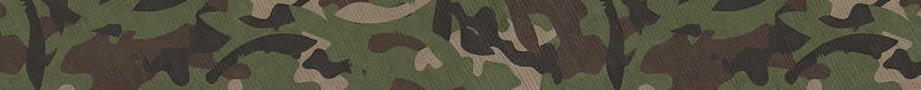 BYD-Header