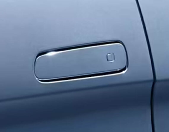 चीनमा इलेक्ट्रिक फ्लस डोर ह्यान्डल प्रतिबन्धित हुने