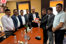 भन्सार यार्डभित्रै एमआरपी सुचि सहितको स्टिकर टाँस्नु व्यावहारिक छैन : नाडा