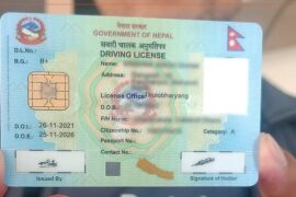 ८ महिनामा छापिए २४ लाख ड्राइभिङ लाइसेन्स, अब नयाँ लाइसेन्स २४ घण्टामै